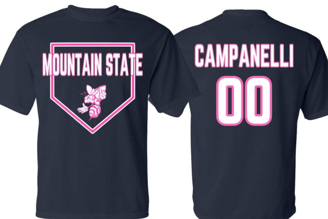 Mountain State Stingers Breast Cancer Awareness Shirt