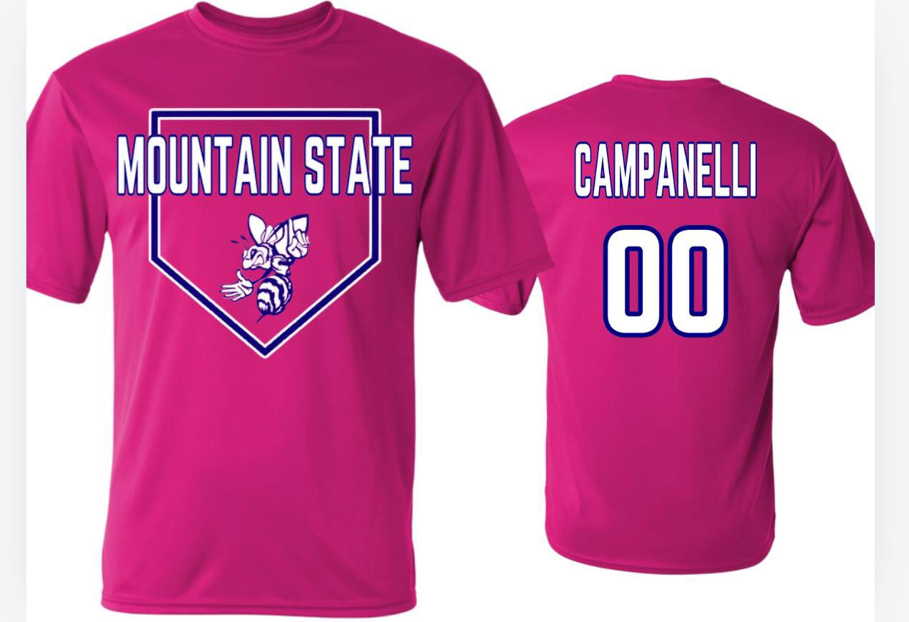 Mountain State Stingers Breast Cancer Awareness Shirt